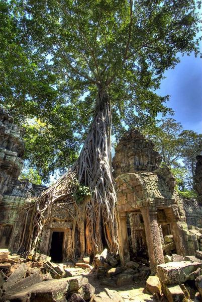Cambodia, Angkor Wat Ruins of Beng Melea Temple